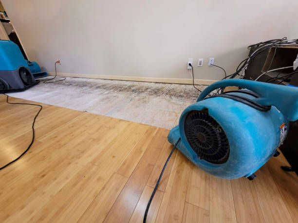 Professional Water Damage Repair technician working in Oxnard, CA